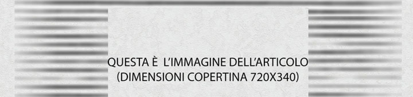 Volontariato, Vol.To, News, Centro Servizi, Torino, Terzo Settore, ETS